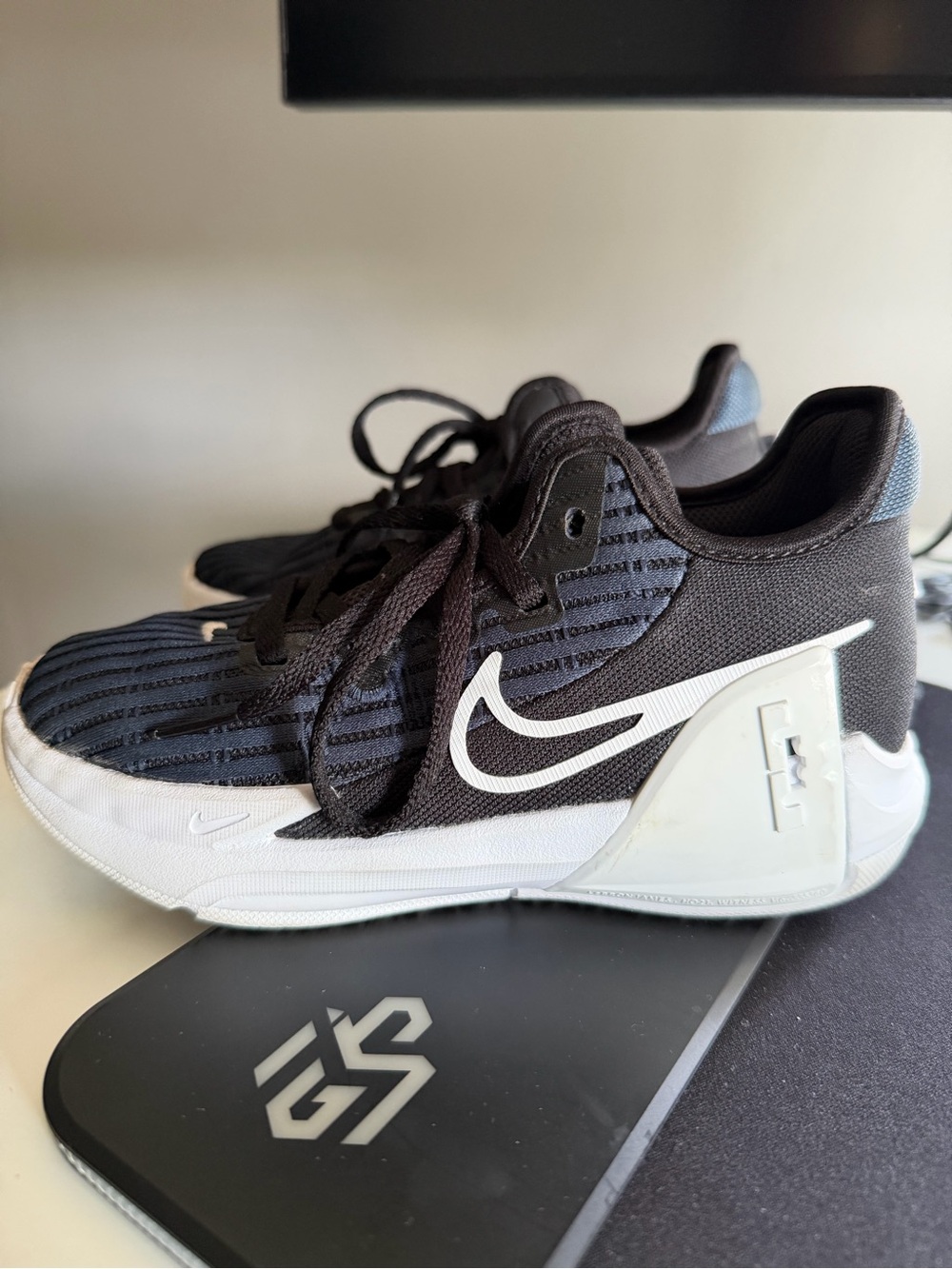 Nike Black and White LeBron Witness Sneakers